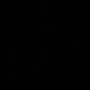 Meet your Posher, Allie